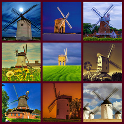 Пазл: Мельницы 
