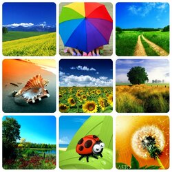 Пазл: Яркие краски лета