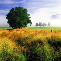 Пазл: Уходит туман