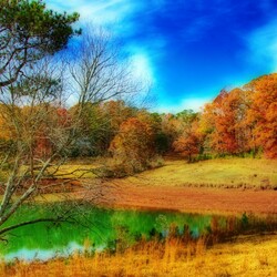 Пазл: Осенний лес 