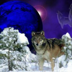 Пазл: Волки  