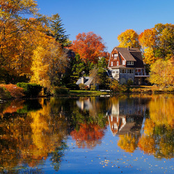 Пазл: У пруда     