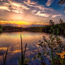 Пазл: Озеро среди деревьев  