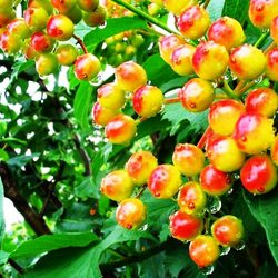 Пазл: Разное