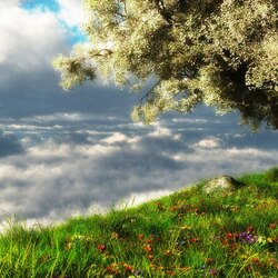 Пазл: Разное