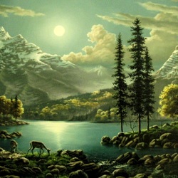 Пазл: Сказочная ночь