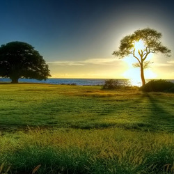 Пазл: Закат   