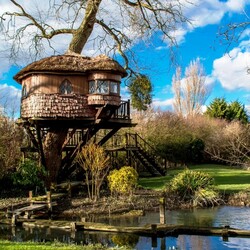 Пазл: Домик на дереве
