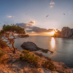 Пазл: Бухта 