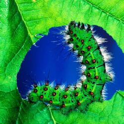 Пазл: Разное