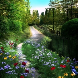 Пазл: Куда ведет тропинка