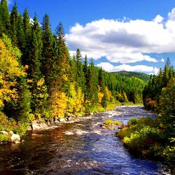 Пазл: Равьер Нуар