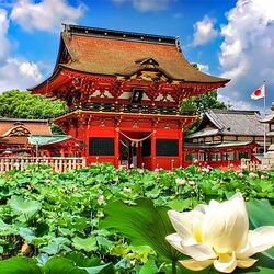 Пазл: Невероятная красота Японии