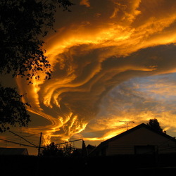 Пазл: Природа Новой Зеландии