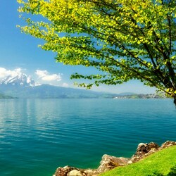 Пазл: На берегу