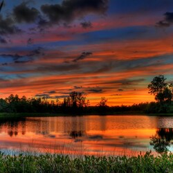 Пазл: Краски природы