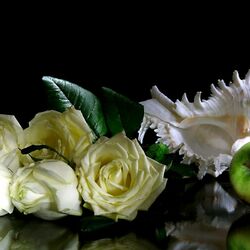 Пазл: Розы,ракушка и яблоко