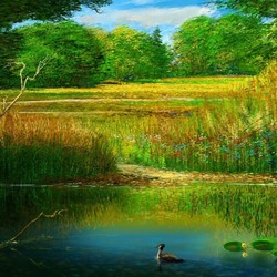 Пазл: Уточка