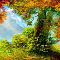 Пазл: Солнечные лучи