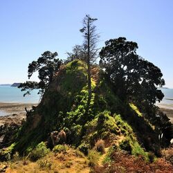 Пазл: Новая Зеландия