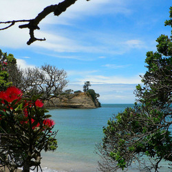 Пазл: Красоты Новой Зеландии