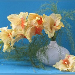 Пазл: Гладиолус на синем фоне