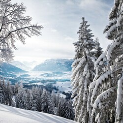 Пазл: Зимняя красота