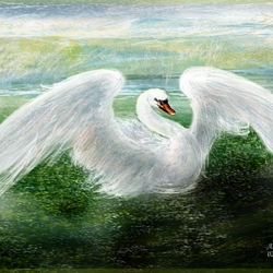 Пазл: Белый лебедь