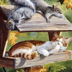 Пазл: Укромное местечко