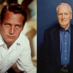 Пазл: Пол Ньюман