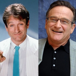 Пазл: Робин Уильямс