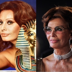 Пазл: Софи Лорен