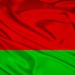 Пазл: Флаг Беларуси