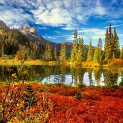 Пазл: Осенний пейзаж