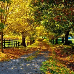 Пазл: Осень