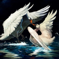 Пазл: Танец лебедей