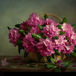 Пазл: Красивый букет