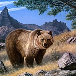 Пазл: Медведь на опушке