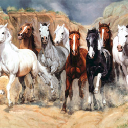 Пазл: Табун