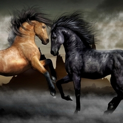 Пазл: Дуэль