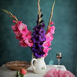 Пазл: Гладиолусы