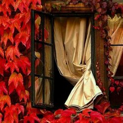 Пазл: Окно в осень