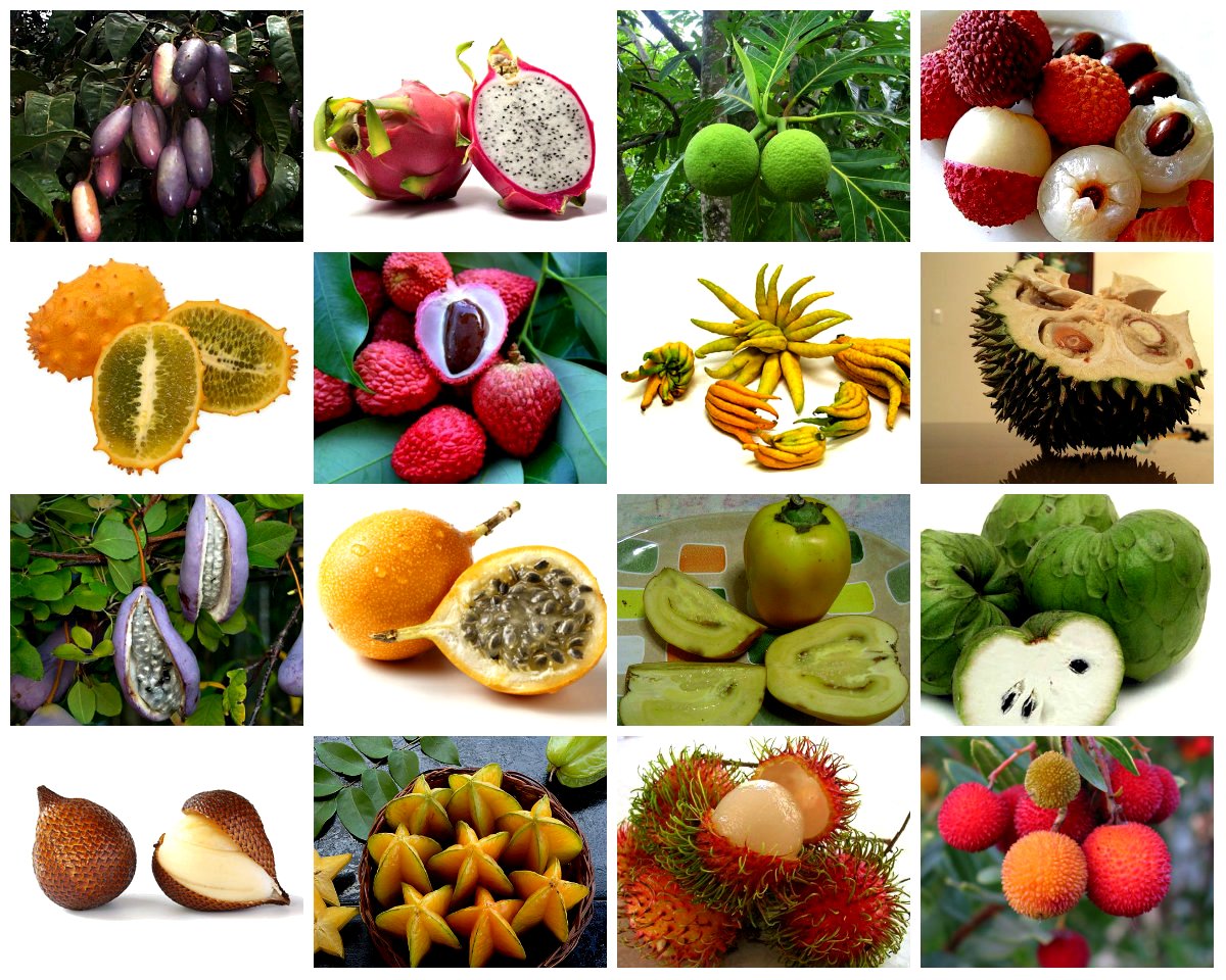 Фото фруктов и их названия