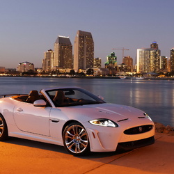 Пазл: Ягуар