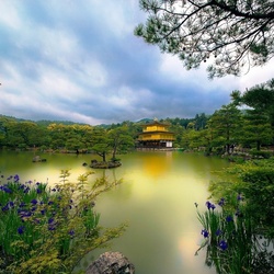 Пазл: Тишина