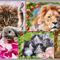 Пазл: Фоторамки