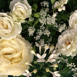 Пазл: Белые розы