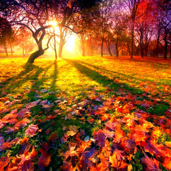 Пазл: Осень 
