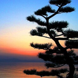 Пазл: Южный закат