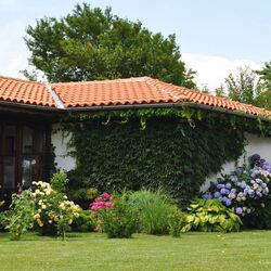 Пазл: Цветущий сад